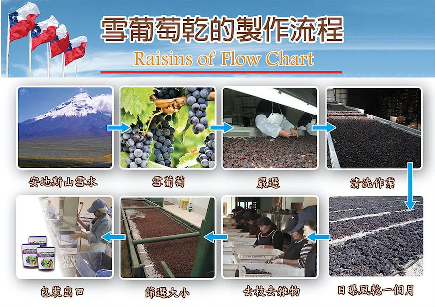 Raisin Natural Dry Fruit Andes mountain Bulk Black Raisins