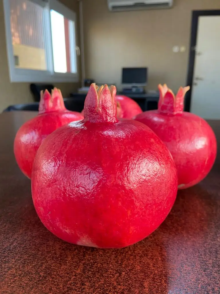 Dark Red Colour %100 Organic Fresh Turkish Number 1 Quality  Juicy Sweet Fresh Red Pomegranade Best Quality In Turkey