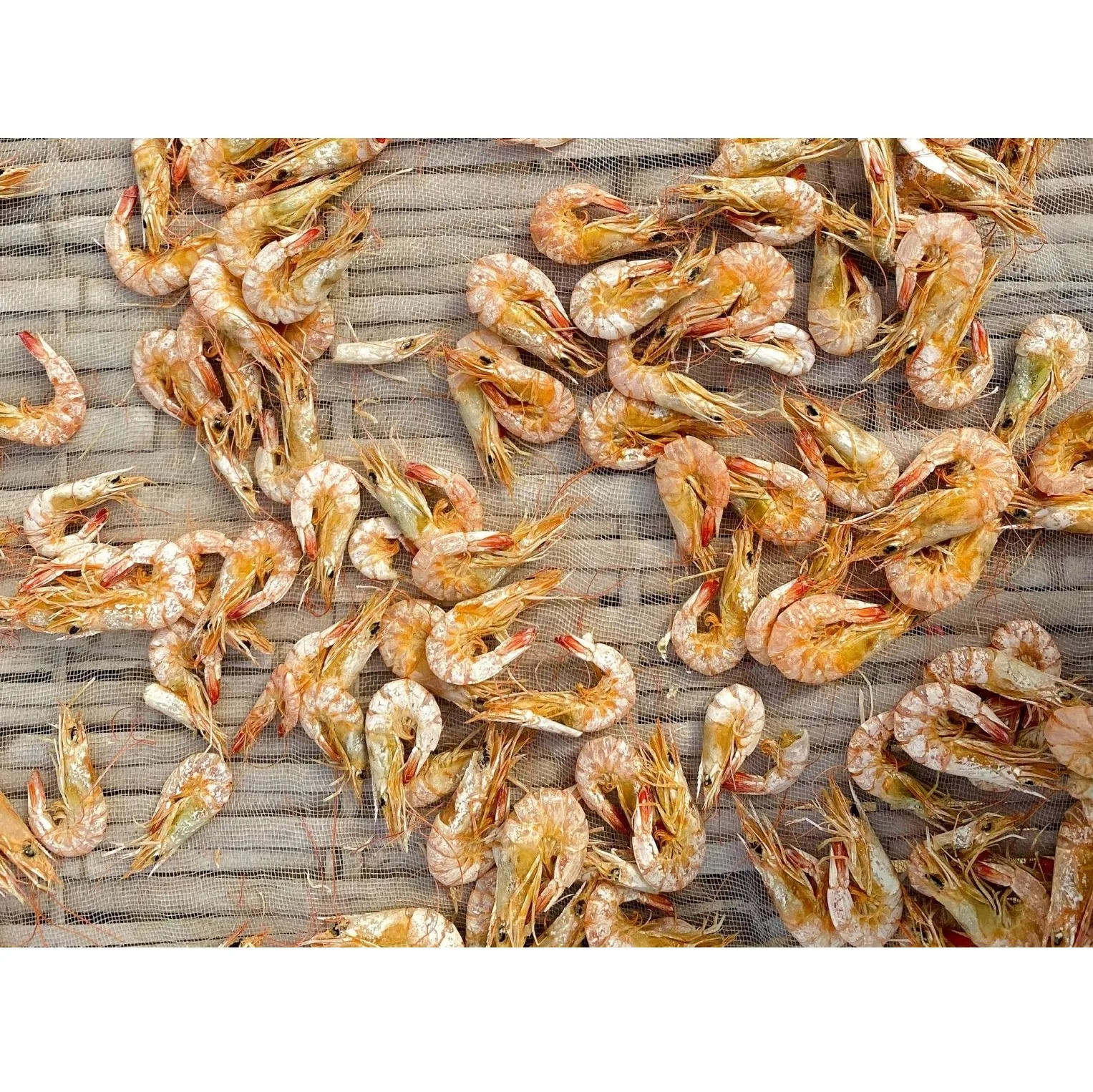 Vietnam High Quality Wholesale Cheap Price Vacuum Pack 5 months Shelf Life Seafood Food Certificated OEM Dried Shrimp