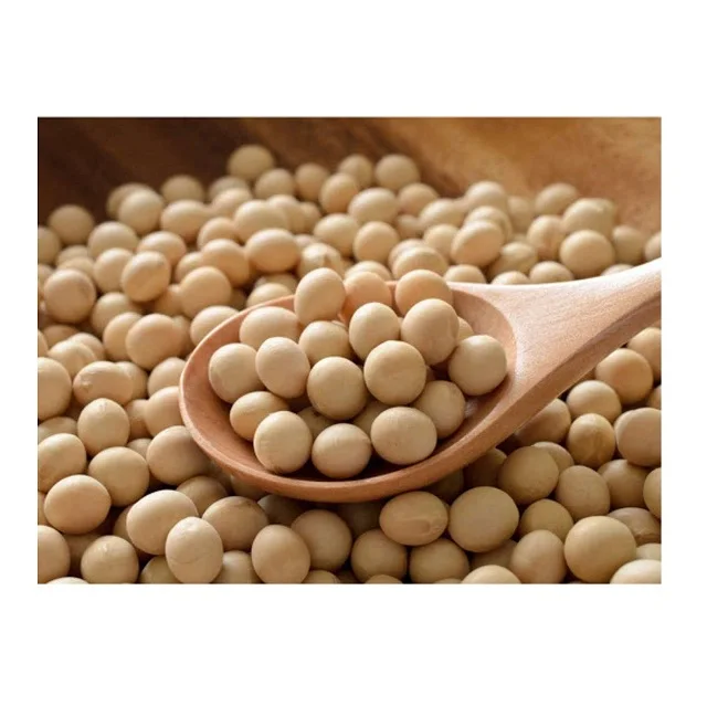 Wholesale organic soyabeans/ soya beans / soybeans available directly from Usa