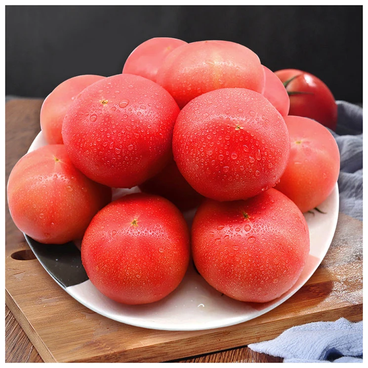 Fresh Tomato with Natural red / Best quality for wholesale / Quick response and cheap price