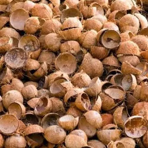 Top Selling Coconut Crushed Shell From India Exports