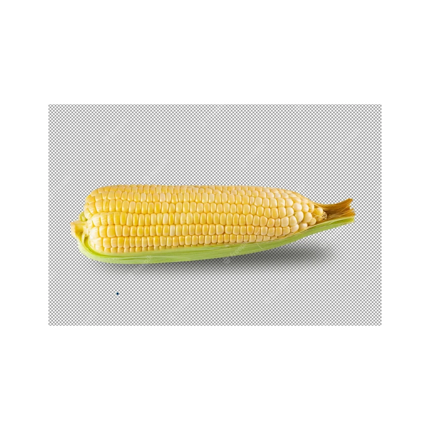 100% Natural Dried Yellow Corn for Ready to Eat Instant Food