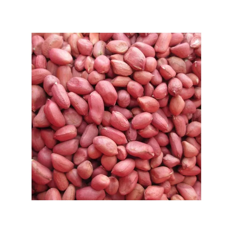 Арахис из красной кожи/Бланшированные ядра арахиса/жареный и соленый арахис кожи