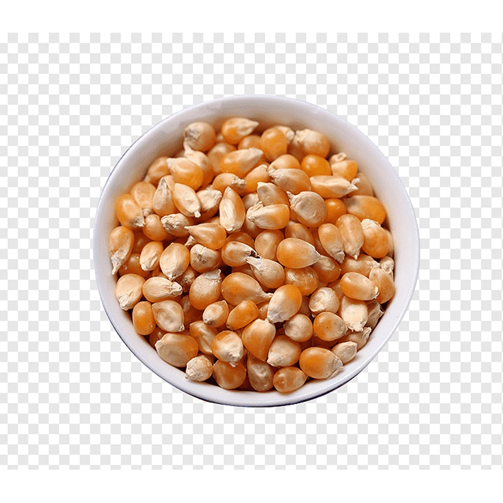 100% Organic Best Quality Yellow Corn Maize Animal Feed Corn Maize for Human Consumption