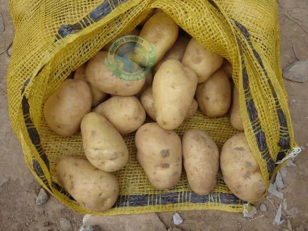 China Style Storage Cool Packing Country Weight Origin Type Vegetable Shape Potato PANPAN Size Snacks Product Fresh Fruit Place