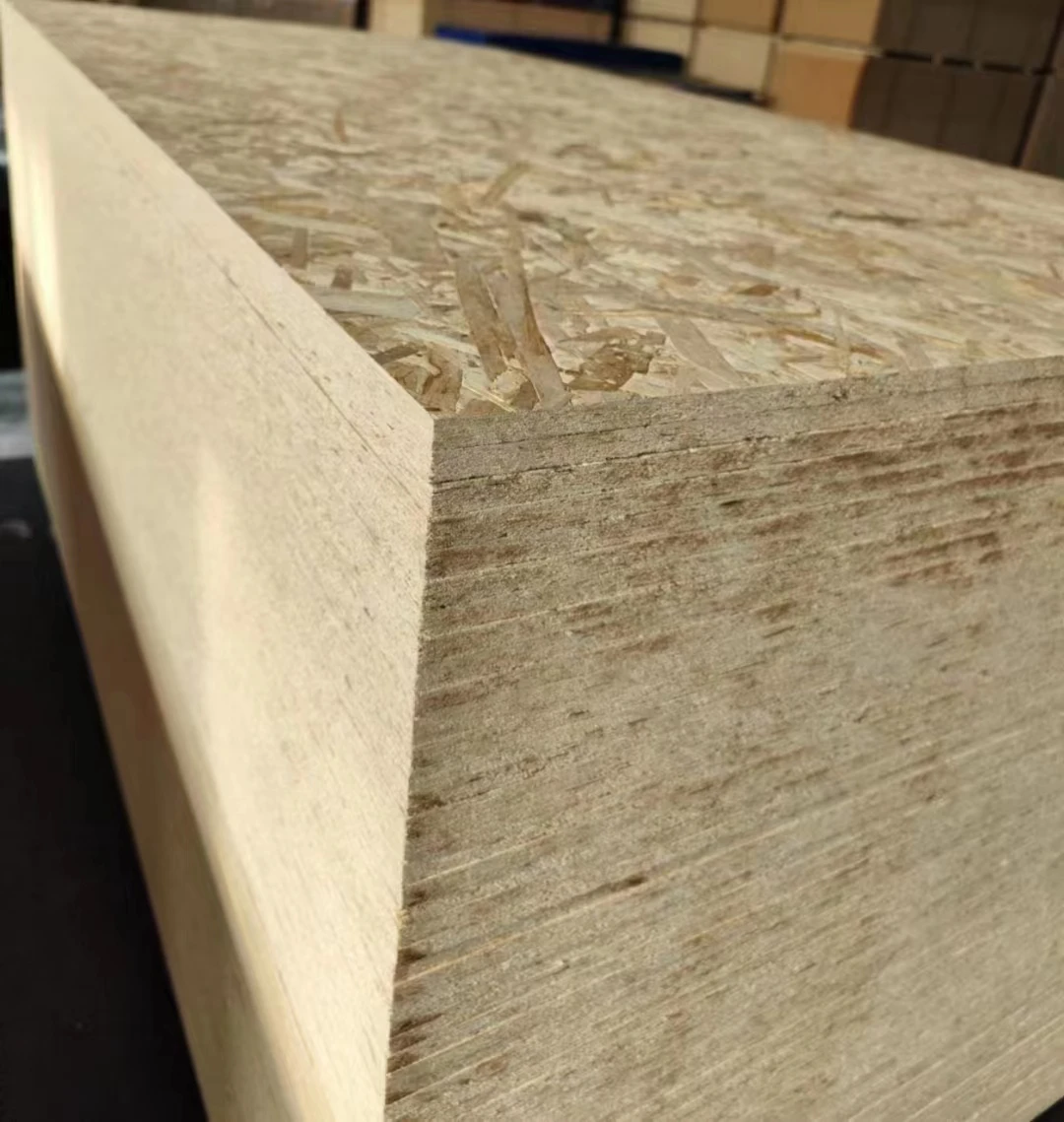 OSB Wood Particle Board in 4x8 Size with 9mm 12mm 15mm 18mm Thickness Finished Surface for Construction Building