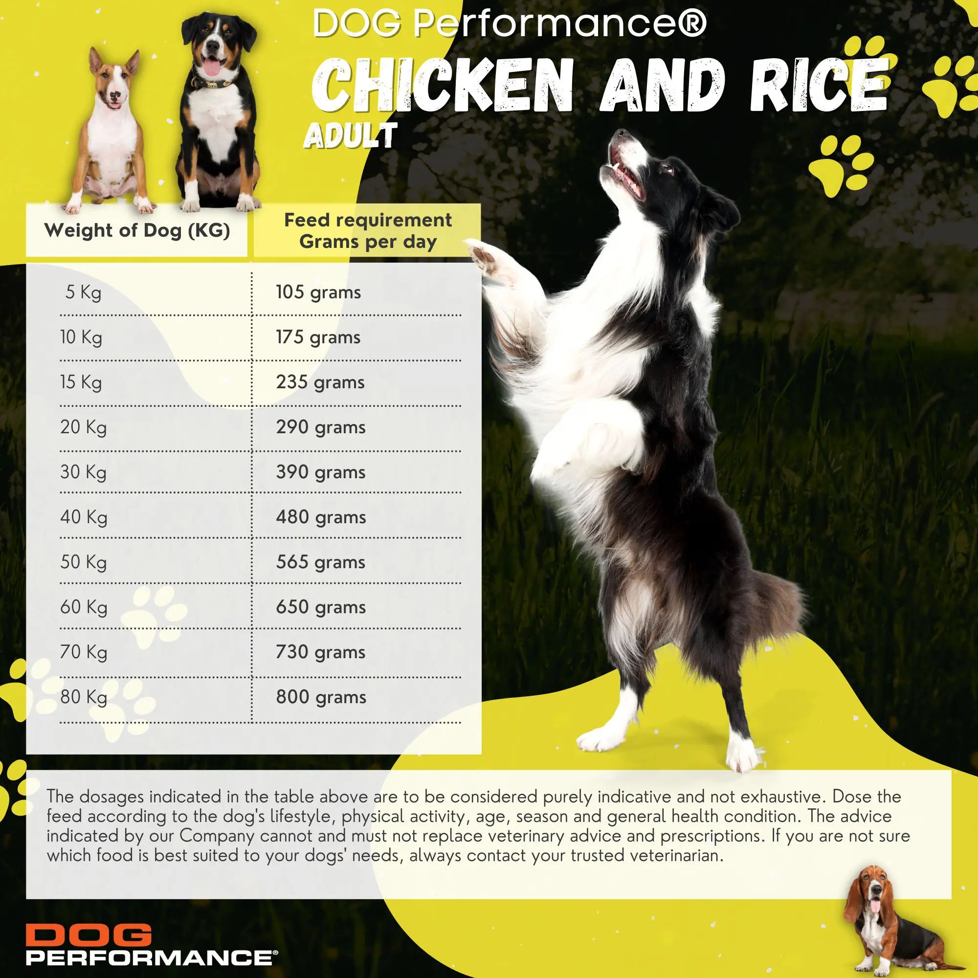 Optimal Nutrition Premium Chicken Rice Dry Food for Adults 15 kg Performance Meal for Daily Activities for Cats Packaged in Bag