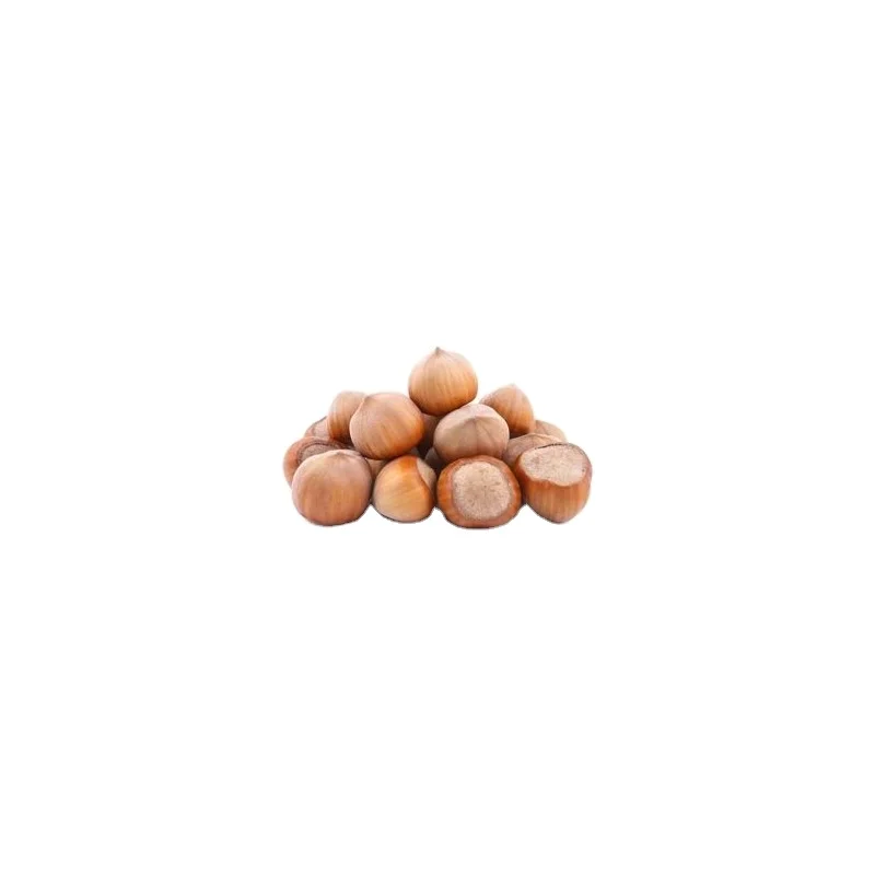 Bulk Hazelnuts from a nationwide wholesale supplier of nuts and seeds. Wholesale Hazelnuts