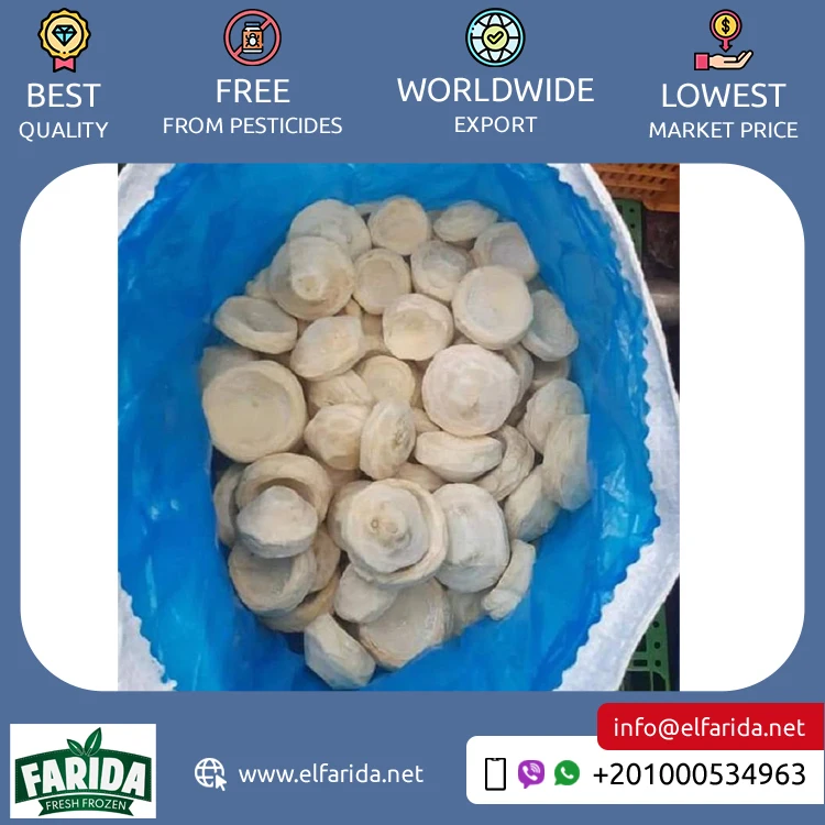 Egypt Origin Exporter of Superior Quality 100% Natural Delicious Taste Frozen Artichoke Bottoms (5-7) cm / (7-9) cm