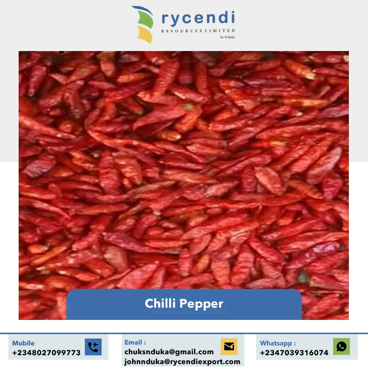 Wholesale Price Best Quality Hot Selling Spices & Herbs Dried Red Hot Spice Round Stemless Red Chilli Pepper from Nigeria
