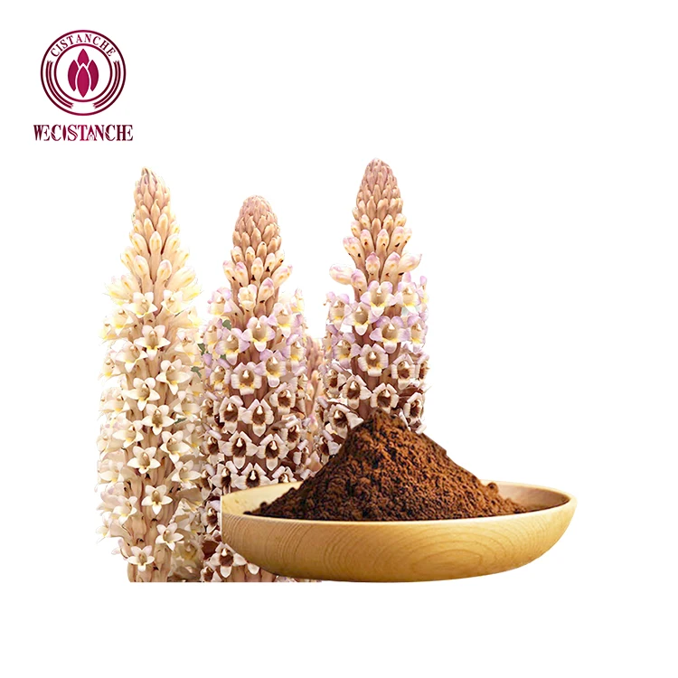 100g Enhance Kidney Supplements 35% Echinacoside Cistanche Tubulosa Powder for Stamina Motivation