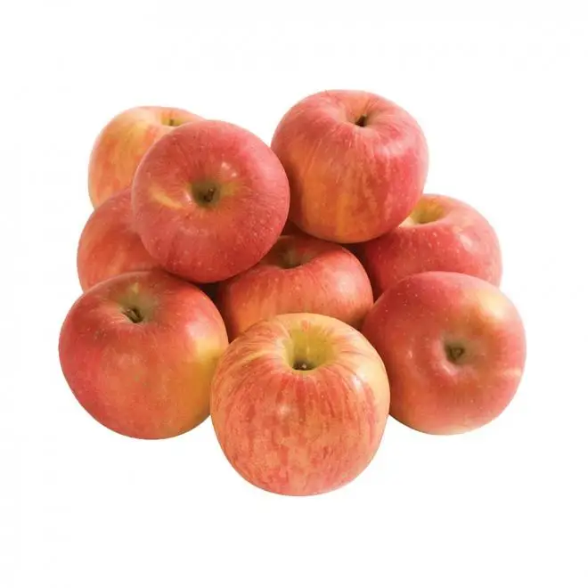 Wholesale Apples Factory Price Apples
