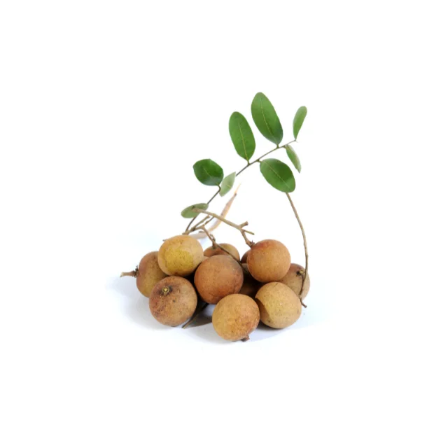 Fresh Longan Fruit Export Grade in Vietnam Sweet Fresh Fresh Longan Organic 100% High Quality