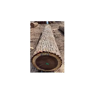 best walnut wood timber  High quality hard wood lumber (10000009405900)