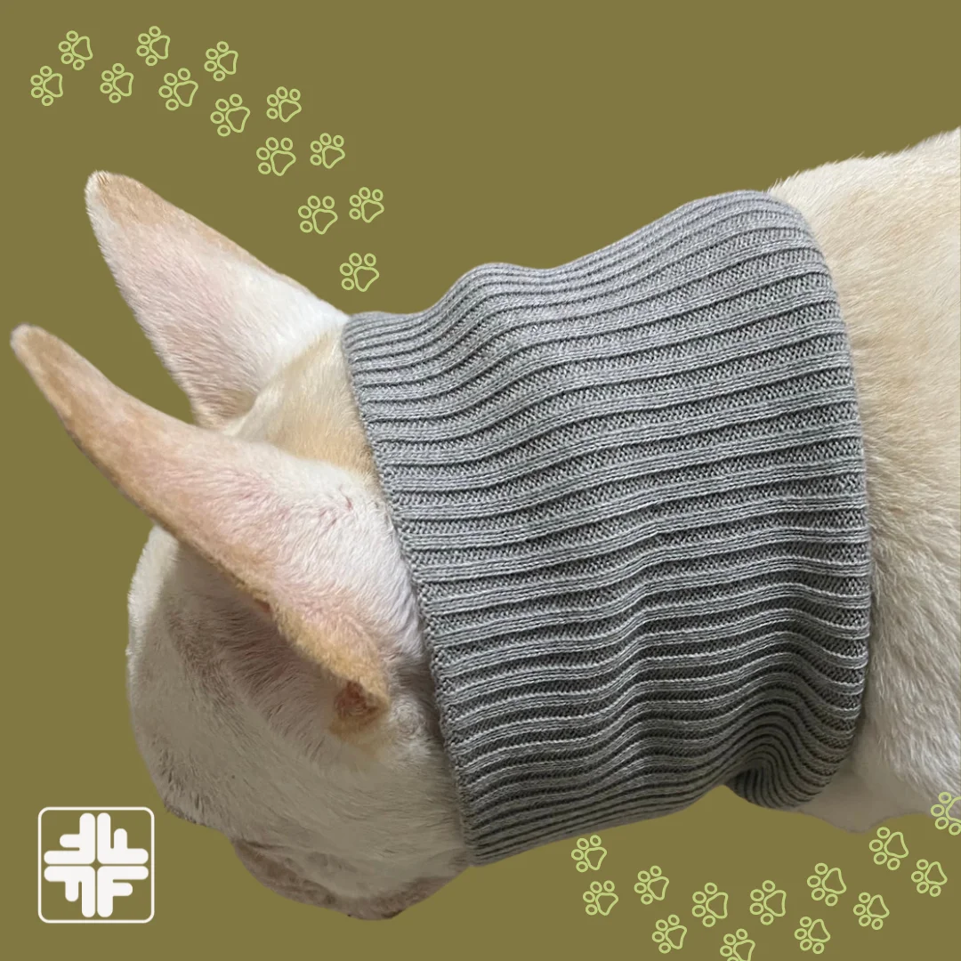 Personalised sizes designs ecofriendly anti static rPEt pet joy collar