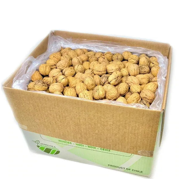 High Protein Bulk Selling Walnuts / Dry Fruits Raw Walnut Kernels for Sale