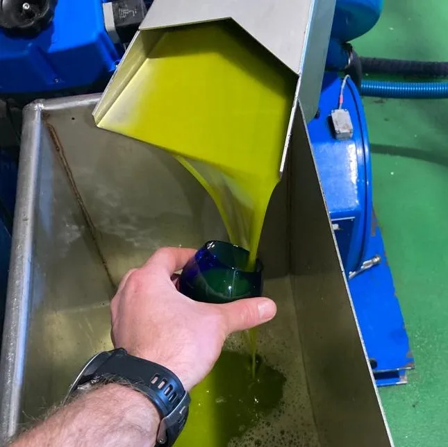 luxurious cold pressed extra virgin olive oil from Spain for cooking and dressing classy glass packaging