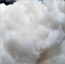 100% Cotton Comber Noil Cotton Card Fly Lickerin Waste Vietnam Manufacturer Price - Whatsapp/Wechat: +84379007507 - Amy