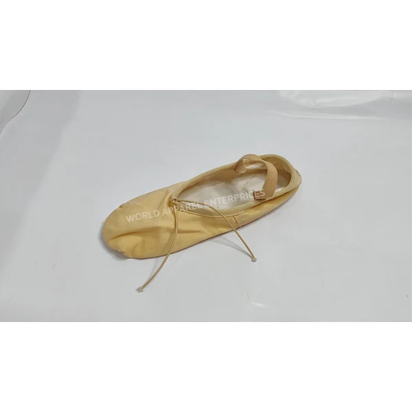 Affordable Price Stage Performance Training Dance Shoes Practice Wear For Adults