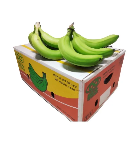 Wholesale Grade A789 Cavendish Banana Top Price For Export From Vietnam Best Selling Manufacturer OEM ODM Custom Accept Order