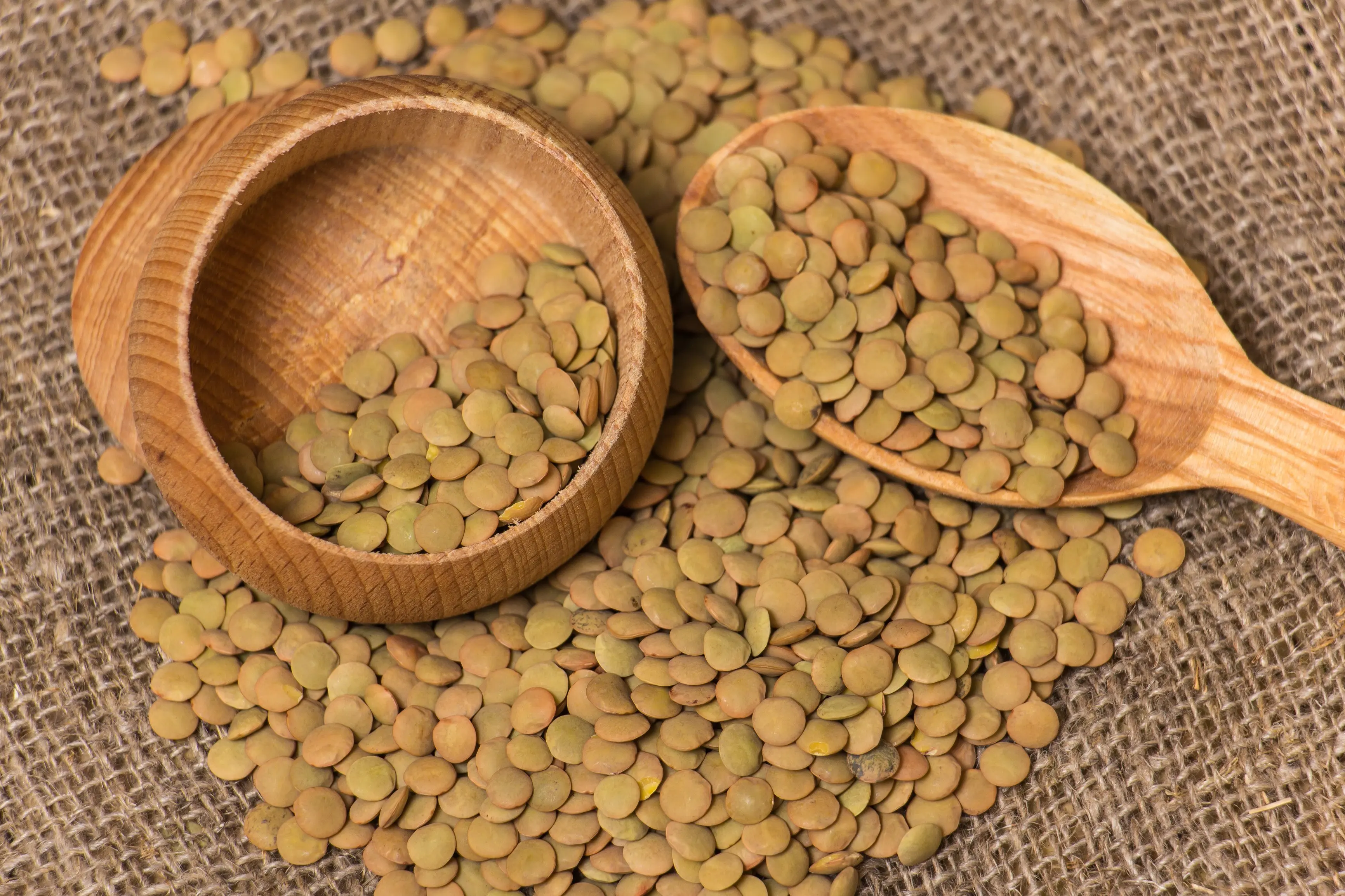 Green lentils grade a top quality green lentils price from Canada