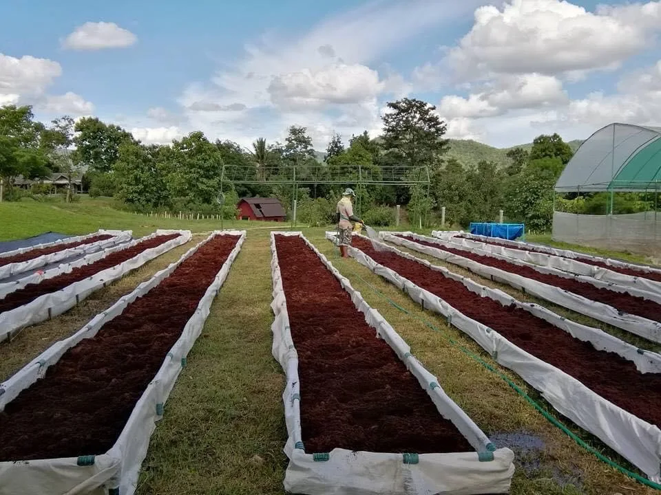 Best Seller COCO PEAT Block 5Kg Bales High Quality 100% Natural Not Washed Coconut Peat Prices Manufacturer Organic
