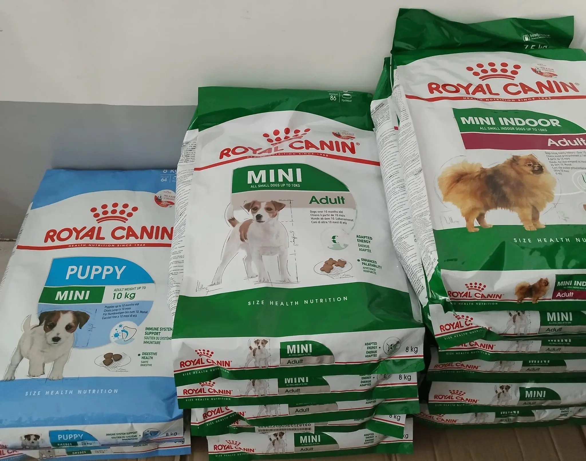 Cheap Royal Canin Maxi Starter/Royal Canin Kitten Food Royal Canin Puppy royal pet royal canin pet food