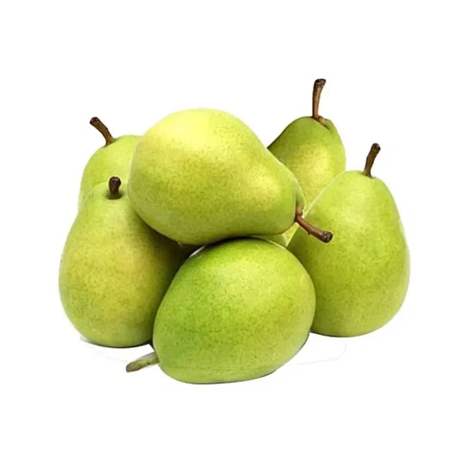 High quality pear fruit crown pear new crop fresh pears price for Russia and Ecuador export from USA