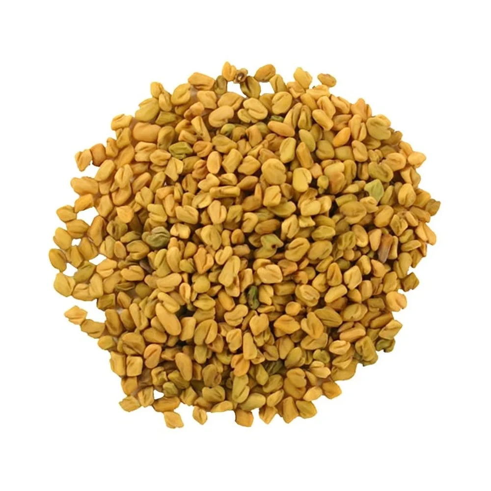 Wholesale Indian Spices Fenugreek Seeds Whole Yellow Color Round Shape Fenugreek Seeds Origin From India