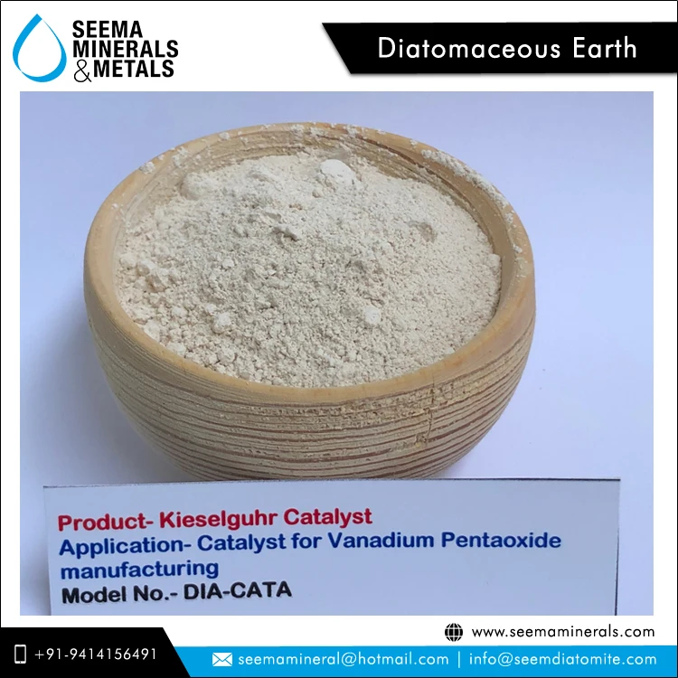 Exclusive Hot Sale on Pale Yellow/Off-White Color 100% Natural Kieselguhr Catalyst/Diatomaceous Earth Powder