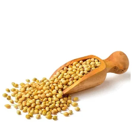 Superior Quality Food Spices Coriander Seeds Hot Selling 100% Natural Coriander Seeds Buy In Bulk Quantity