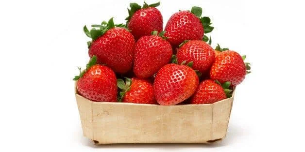 Fruit Fresh strawberry wholesale fresh  strawberries food grade 2.5kg pack 25tons 15days blueberries fresh berries