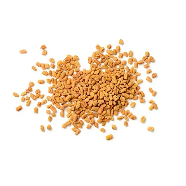 100% Natural & Organic Fenugreek Seed Premium Quality Indian Fenugreek Seeds ( Fenugreek Sortex ) Export From India