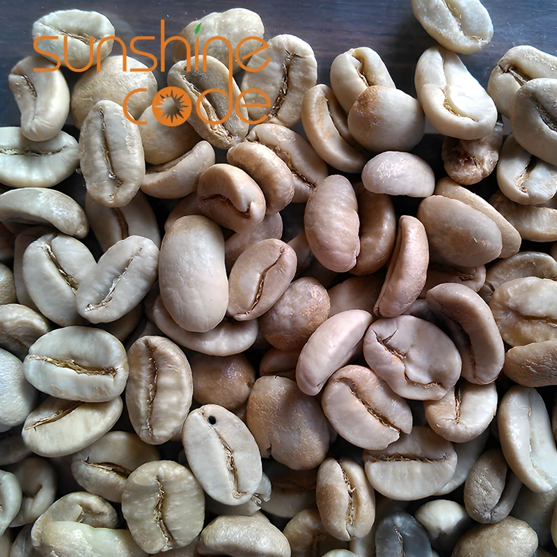 Sunshine Code Coffee Green Beans Arabica Raw Beans Price 60Kg Green Coffee Import With Free Sample
