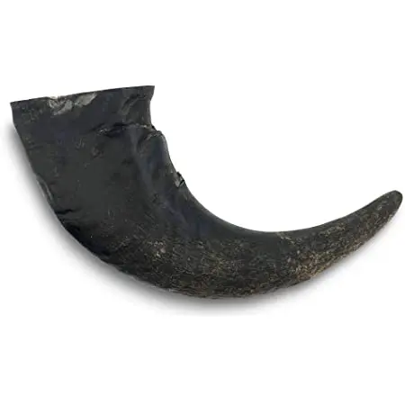 Best Quality Buffalo Horn For Dog Chew Handicrafts Water Buffalo Horn For Dog Chew