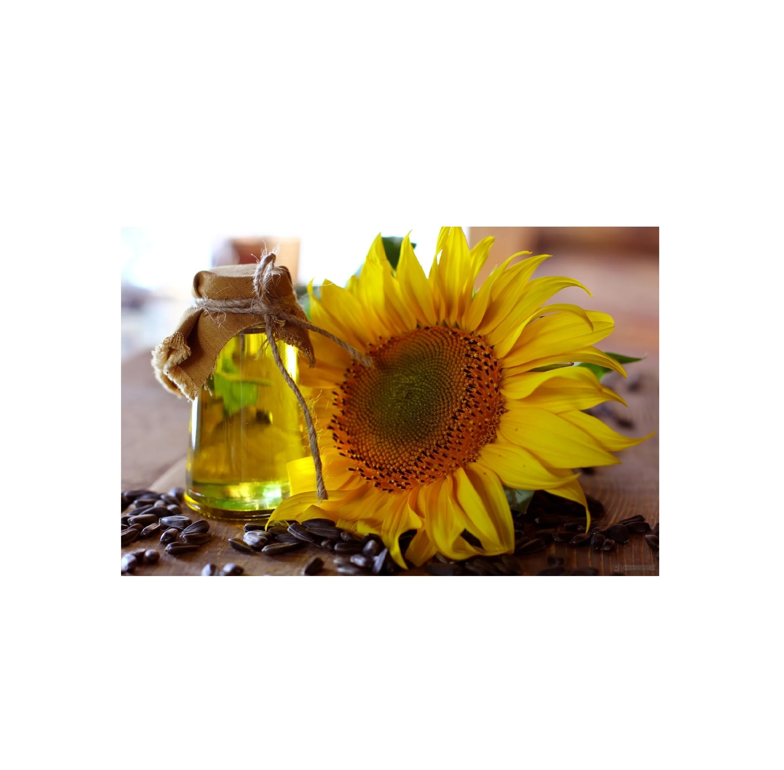 Сырой и подсолнечном рафинированном