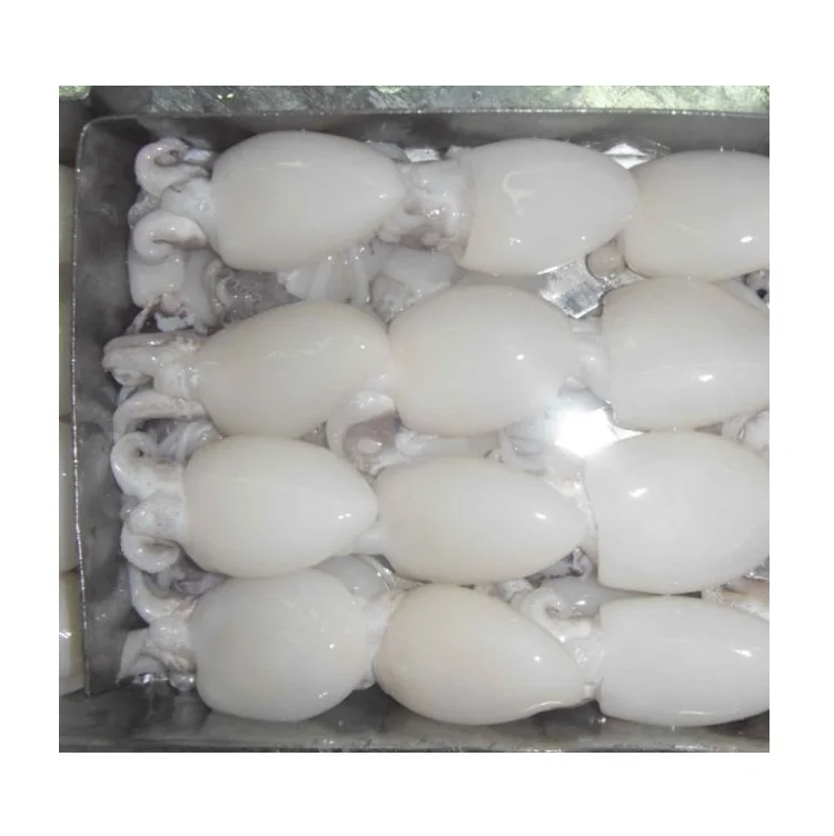 Premium Quality Wholesale Supplier Of Frozen cuttlefish whole cleaned cuttlefish For Sale
