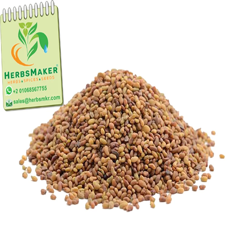 (CLOVER SEEDS) NEW CROP HIGH QUALITY EGYPTIAN SORTEX CONVENTIONAL AND ORGANIC VERY COMPETITIVE PRICE