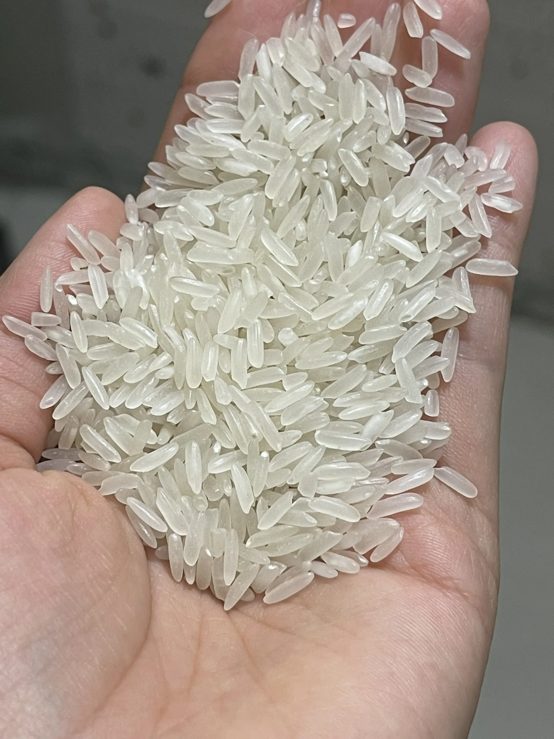 WHOLESALE PRICE VIETNAM F&B CURRENT CROP 5% BROKEN DRIED STYLE LONG GRAIN AROMA RICE DT8MAX RICE FROM JCC RICE SUPPLIER IN VN