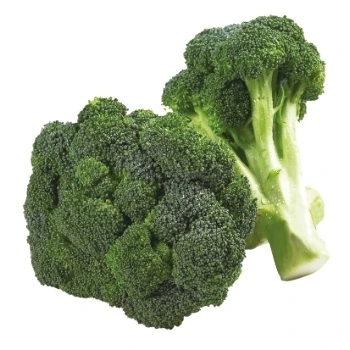 quality fresh broccoli vegetable export