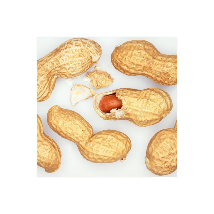 Hot Selling Price Of Dried Organic Red Skin Peanuts In Bulk Quantity