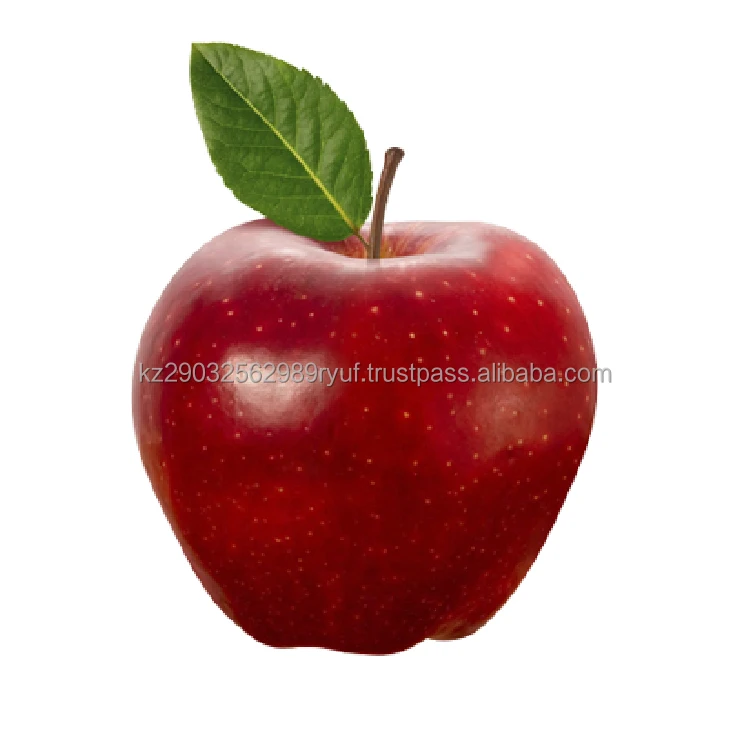 Natural apples are perfectly stored and remain juicy and fresh for a long time neat regular shape