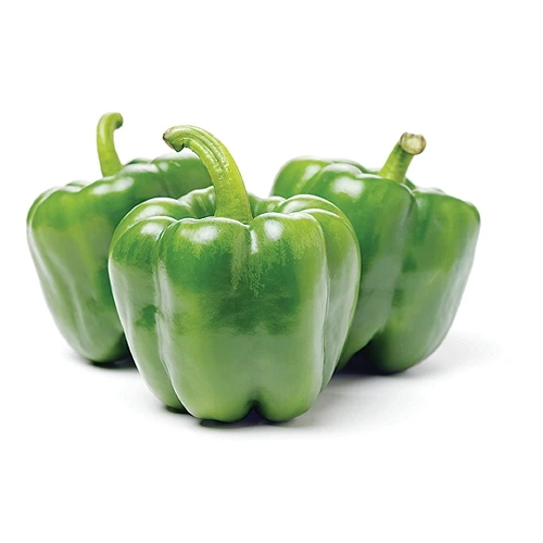 100% FRESH CAPSICUM FOR SALE AT WHOLESALE PRICES.