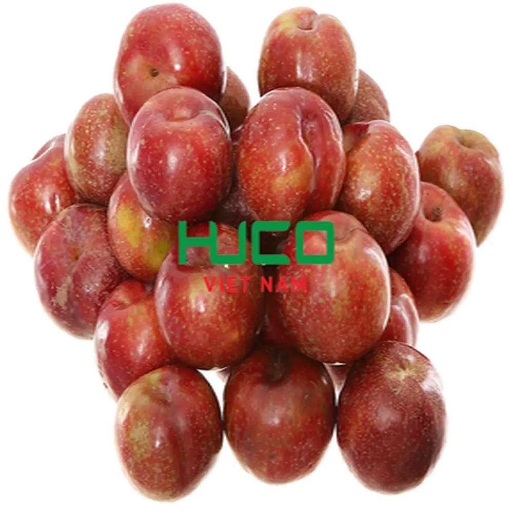Fresh Plums Red shell Fresh Fruit From Vietnam Negotiable Price 2022