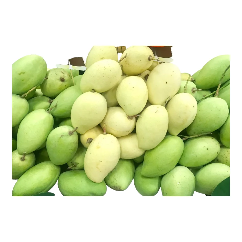 Premium Fresh Mango product