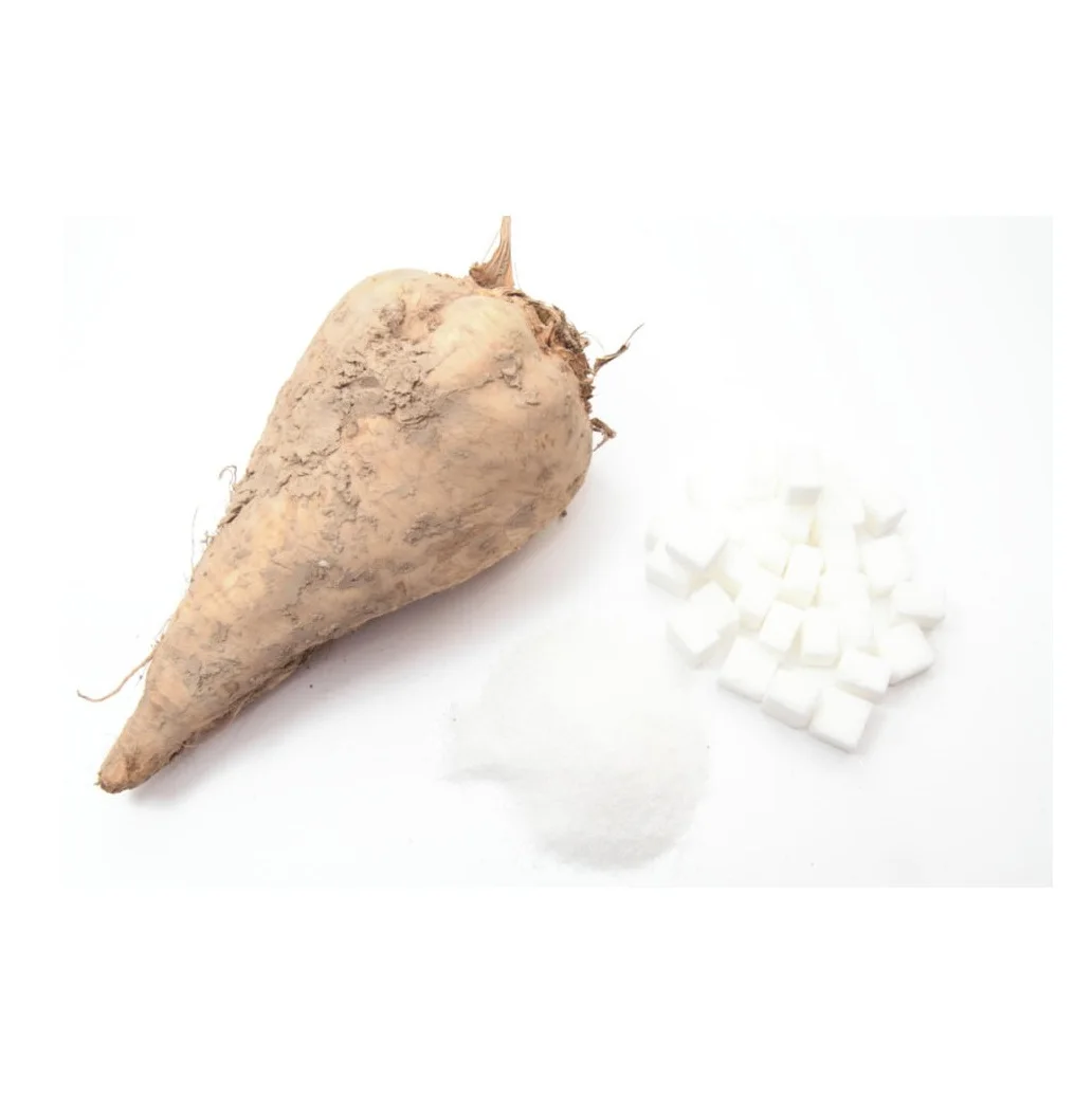 Refined Brazil Beet Sugar - 100% Pure Beet Sugar (No Added Preservatives Competitive Pricing)