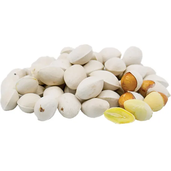 Freshly imported Ginkgo Nuts / Healthy antioxidants nut wholesale