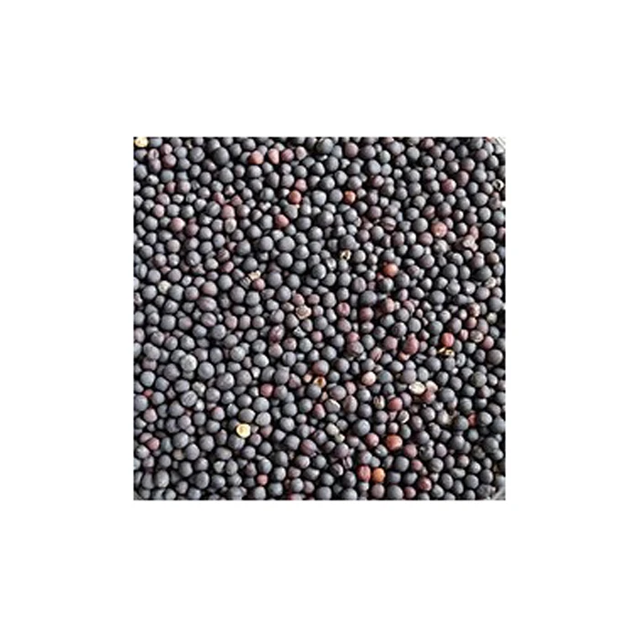 Лучшее качество 100% натуральные семена рапса по хорошей цене от производителя лучшее оптовые цены