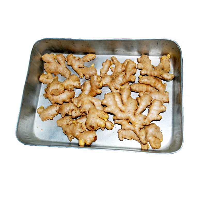 Лидер продаж дешевый корень имбиря обычный и органический свежий имбирь сертифицированный USDA новый